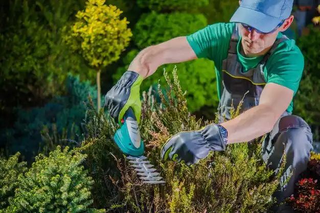 landscaping services Kenner